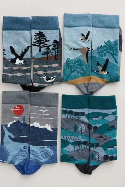 Seasalt Cornwall Box Of 4 Men's Postcard Socks<Men Socks