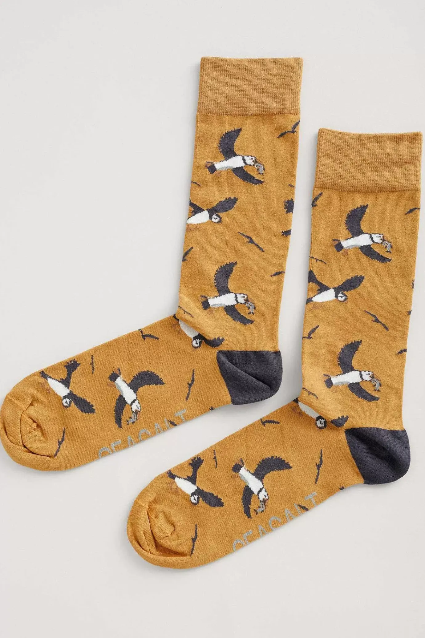 Seasalt Cornwall Men's Arty Organic Cotton Socks<Men Socks