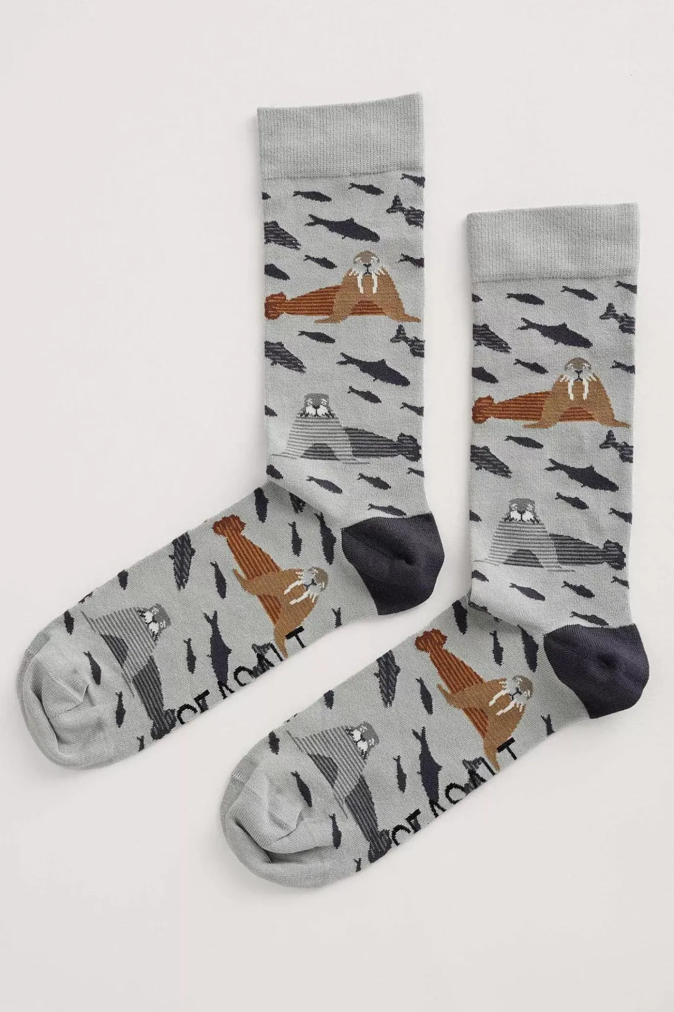 Seasalt Cornwall Men's Arty Socks<Men Socks
